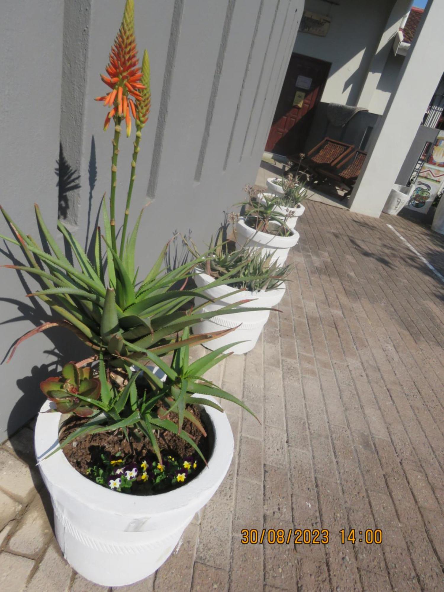 Beachcomber Bay Guest House In South Africa Маргит Экстерьер фото
