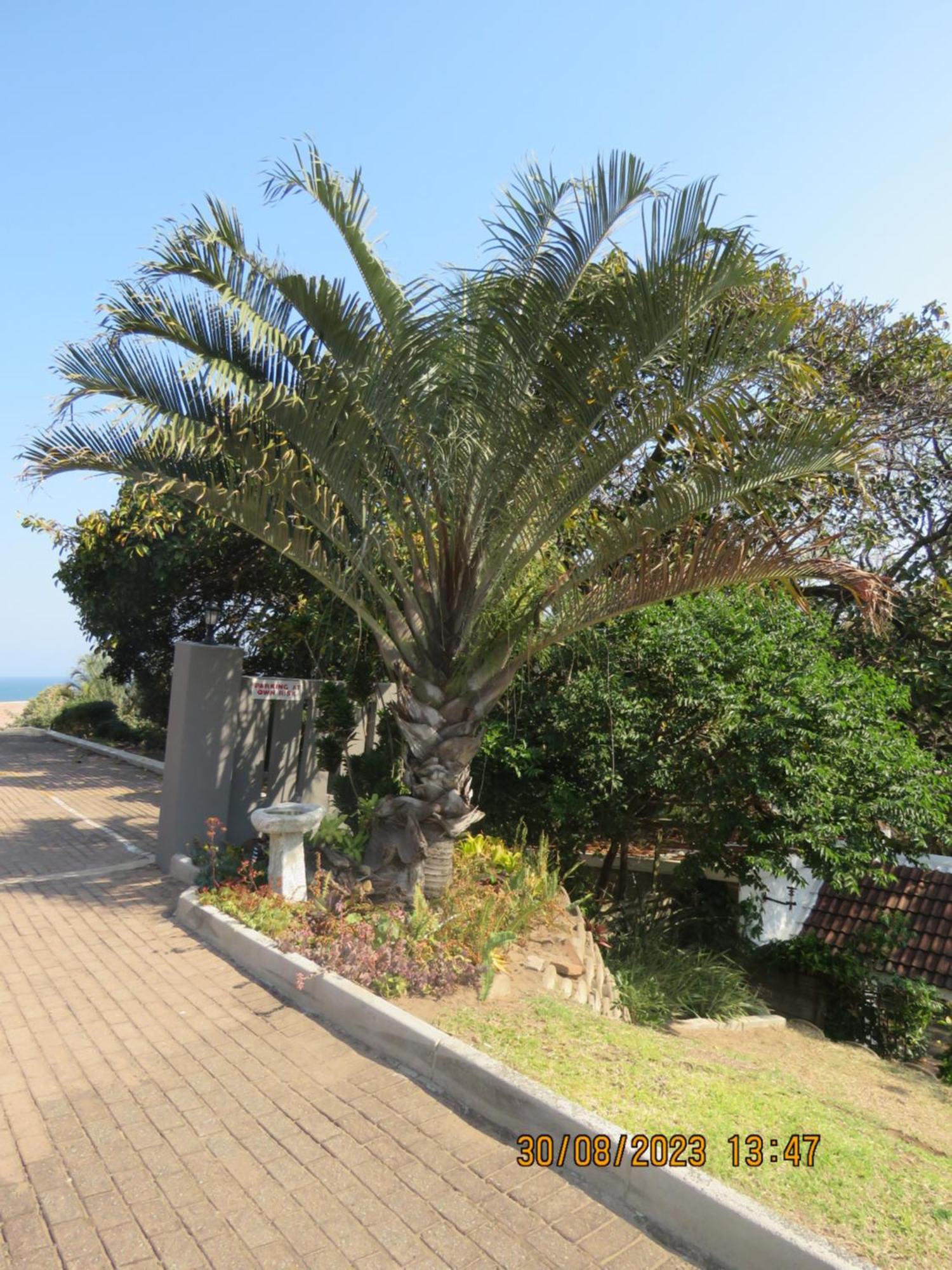 Beachcomber Bay Guest House In South Africa Маргит Экстерьер фото